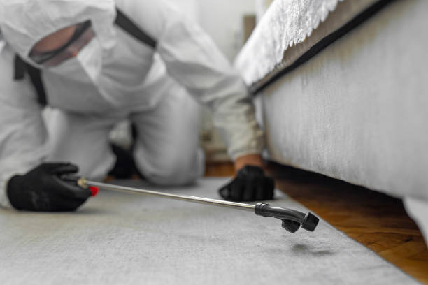 Professional Bed Bug Control technician working in Morgan County County, IL